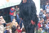 Bild 008